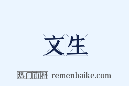 文生是什么意思的图片